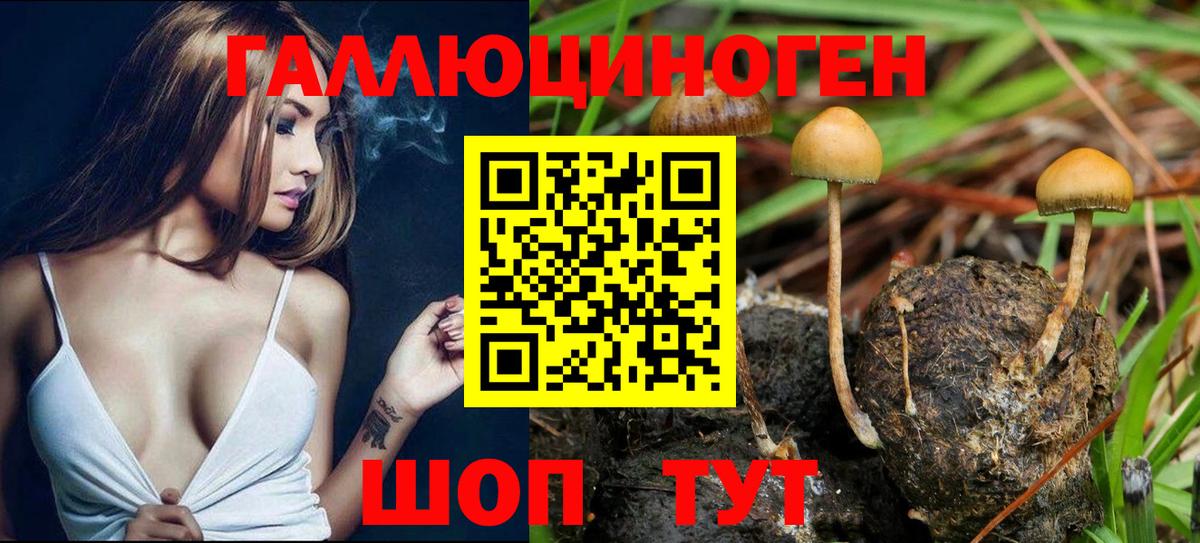 Псилоцибиновые грибы прущие грибы Белгород